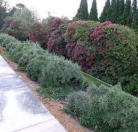 Silvermere - Accommodation Mooloolaba