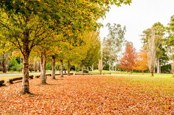 Retreat At Wisemans - Accommodation Mooloolaba 12