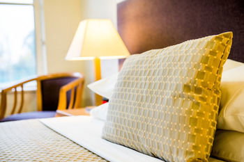 Retreat At Wisemans - Accommodation Mooloolaba 13