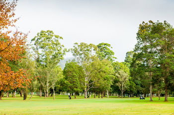 Retreat At Wisemans - Accommodation Mooloolaba 17