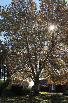 Airport Motel Sir Francis Drake - Accommodation Mooloolaba 16