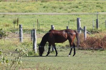 Airport Motel Sir Francis Drake - Accommodation Mooloolaba 17