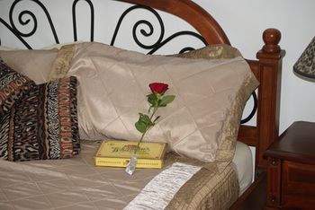 Kingfishers Manor @ Noosa - Accommodation Mooloolaba 16