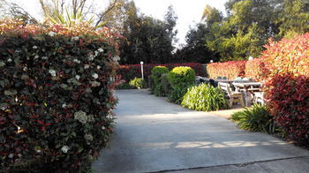 Branxton House Motel, Hunter Valley - Accommodation Mooloolaba 13