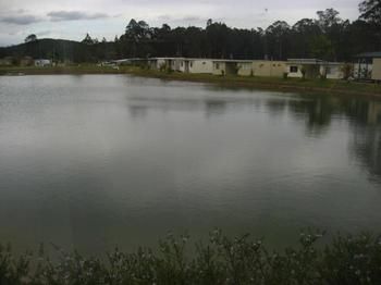 Australian Motor Homes Tourist Park - Accommodation Mooloolaba 3