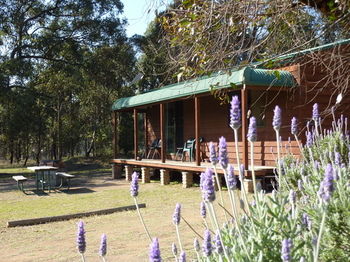 Hunter Hideaway Cottages - Accommodation Mooloolaba 4