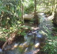 Treetops Accommodation Montville - Accommodation Mooloolaba