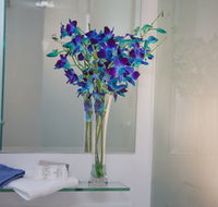 Grand Hotel Wyong - Accommodation Mooloolaba