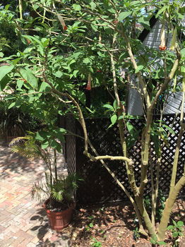 The Regents Park - Accommodation Mooloolaba 54