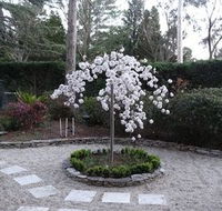 Corner Manor Leura - Accommodation Mooloolaba