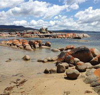 Lake Eckersley campground - Accommodation Mooloolaba