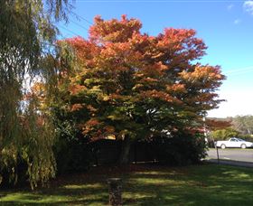 Acacia Bed And Breakfast - Accommodation Mooloolaba 3