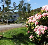 Zeehan Bush Camp  and Caravan Park - Accommodation Mooloolaba