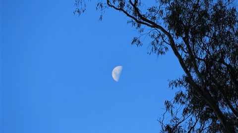 Gentle Annie Caravan And Camping Reserve - Accommodation Mooloolaba 4