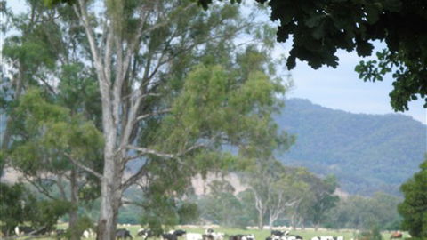 Gentle Annie Caravan And Camping Reserve - Accommodation Mooloolaba 3