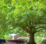 Lakes and Craters Holiday Park - Accommodation Mooloolaba