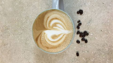 Budget On The Lake - Accommodation Mooloolaba 5