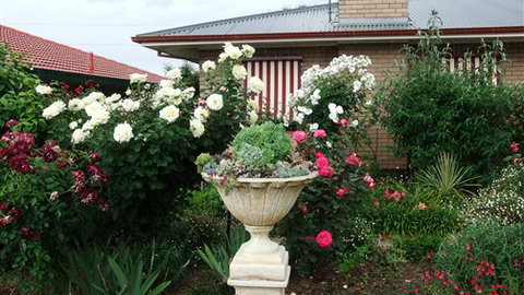 Admurraya House Bed And Breakfast - Accommodation Mooloolaba 5