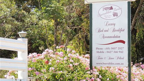 Burrabliss Bed And Breakfast - Accommodation Mooloolaba 6