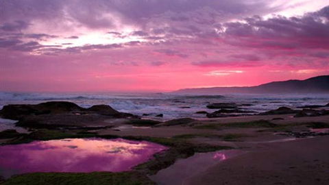 Blue Johanna Cottages - Accommodation Mooloolaba 0
