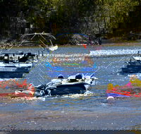 Lake Dyer - Accommodation Mooloolaba