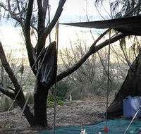 Main Beach Foreshore Camping Grounds - Accommodation Mooloolaba