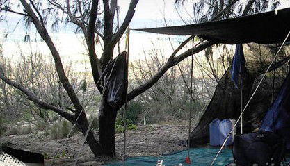 Main Beach Foreshore Camping Grounds - Accommodation Mooloolaba 0