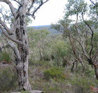 The Glen - Accommodation Mooloolaba