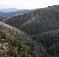 Howmans Gap Alpine Centre YMCA - Accommodation Mooloolaba