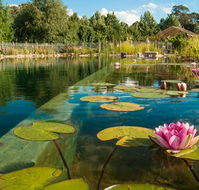 Planetrees Estate  - Accommodation Mooloolaba