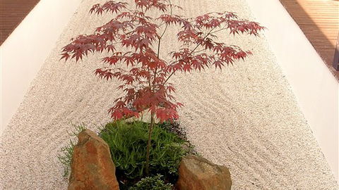 Shizuka Ryokan Japanese Country Spa & Wellness Retreat - Accommodation Mooloolaba 6