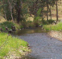 Murphy's Cabin - Accommodation Mooloolaba