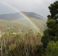 Wattletree Cottage - Accommodation Mooloolaba