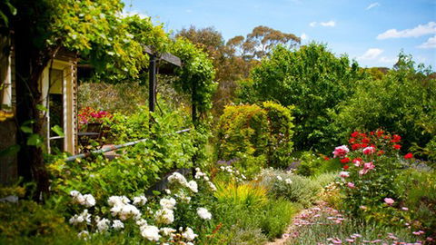 Kookaburra Ridge - Accommodation Mooloolaba 3