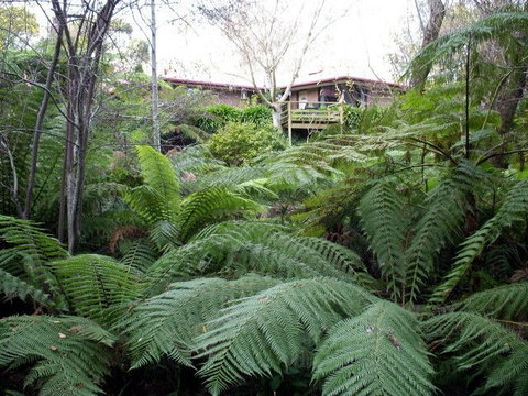 Adelaide Hills Bed & Breakfast Accommodation - Accommodation Mooloolaba 3