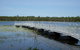 Aurora Kakadu Resort - thumb 6