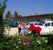 Boerbuck Country Motel  Host Farm - Accommodation Mooloolaba