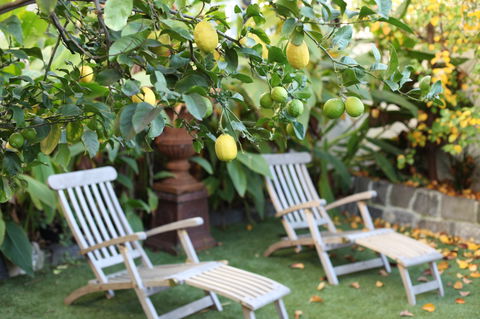 Captains Retreat B&B - Accommodation Mooloolaba 1