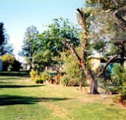 Condamine River Caravan Park - Accommodation Mooloolaba