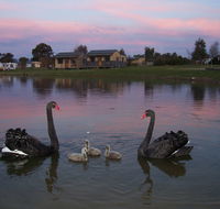 Mansfield Holiday Park - Accommodation Mooloolaba