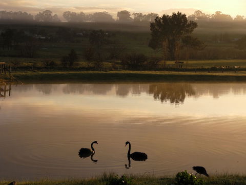 Mansfield Holiday Park - Accommodation Mooloolaba 2