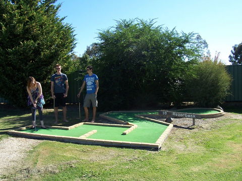 Mansfield Holiday Park - Accommodation Mooloolaba 4