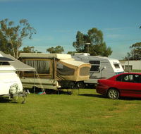 Crocodile Caravan   Camping Park - Accommodation Mooloolaba