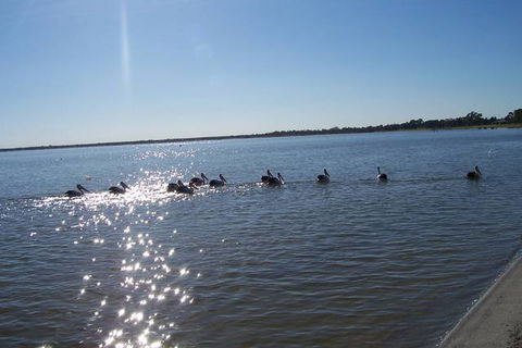 Discovery Holiday Parks - Lake Bonney - Accommodation Mooloolaba 1
