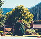 High Country Motor Inn - Accommodation Mooloolaba