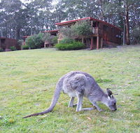 Jenolan Caves Cottages - Accommodation Mooloolaba