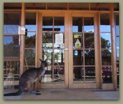 Kangaroo Island Wilderness Retreat - Accommodation Mooloolaba 1