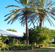 Merino Motor Inn - Accommodation Mooloolaba