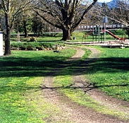 Mongans Bridge Camping Park - Accommodation Mooloolaba