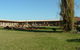 Newell Motor Inn - thumb 1